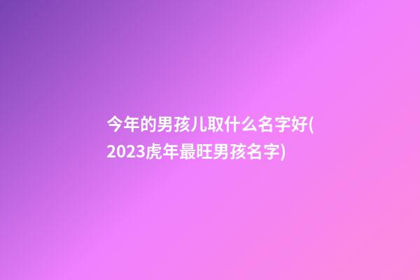 今年的男孩儿取什么名字好(2023虎年最旺男孩名字)
