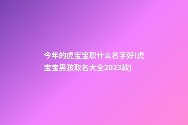 今年的虎宝宝取什么名字好(虎宝宝男孩取名大全2023款)