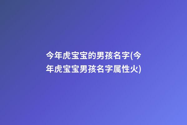 今年虎宝宝的男孩名字(今年虎宝宝男孩名字属性火)