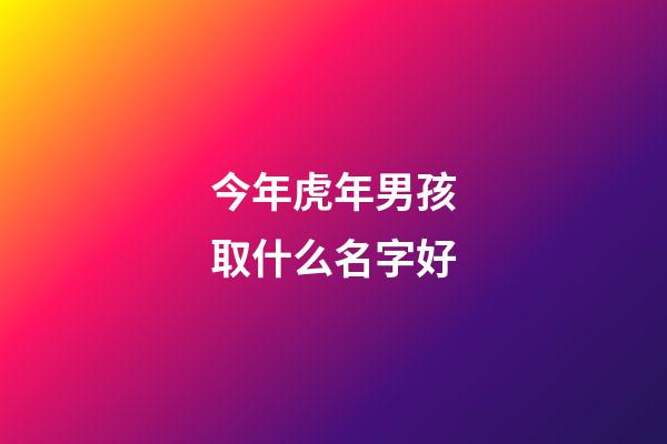 今年虎年男孩取什么名字好(今年虎年男孩取什么名字好一点)-第1张-男孩起名-玄机派