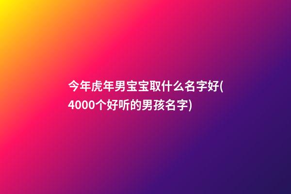 今年虎年男宝宝取什么名字好(4000个好听的男孩名字)