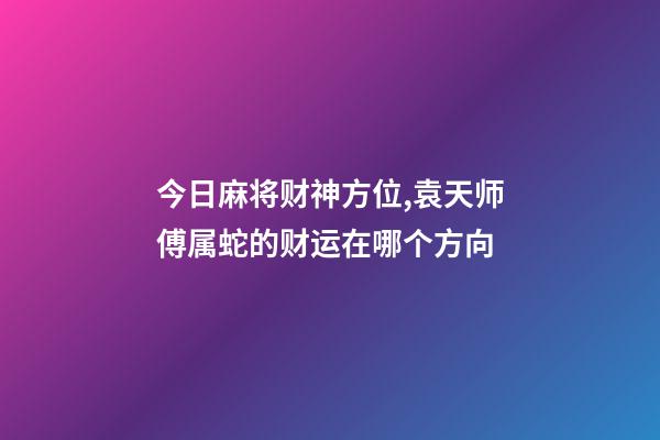 今日麻将财神方位,袁天师傅属蛇的财运在哪个方向-第1张-观点-玄机派