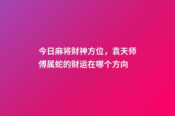 今日麻将财神方位，袁天师傅属蛇的财运在哪个方向-第1张-观点-玄机派