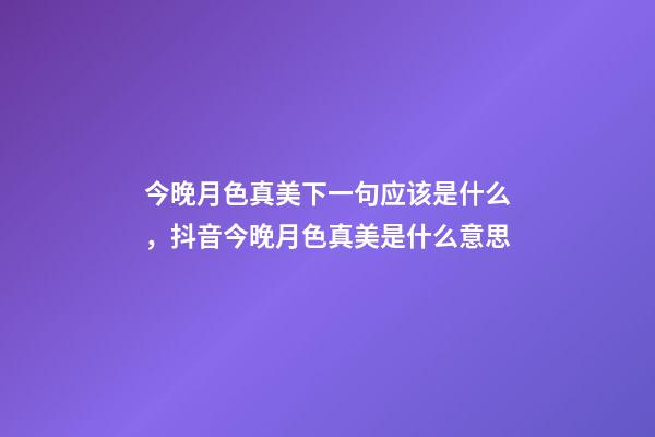 今晚月色真美下一句应该是什么，抖音今晚月色真美是什么意思-第1张-观点-玄机派