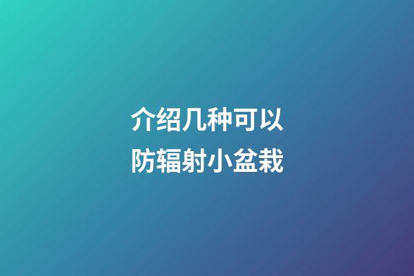 介绍几种可以防辐射小盆栽