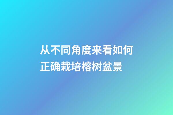从不同角度来看如何正确栽培榕树盆景