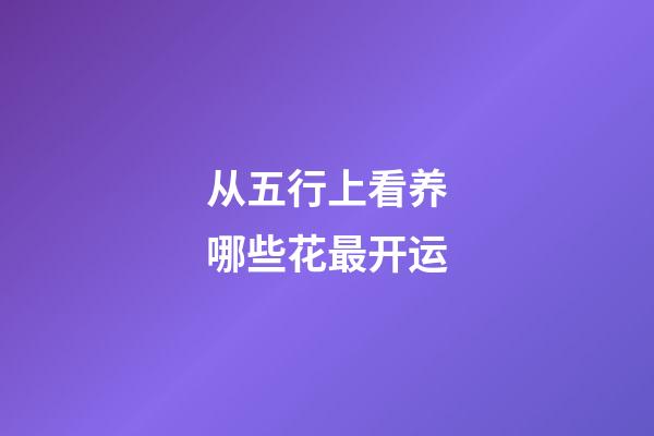 从五行上看养哪些花最开运