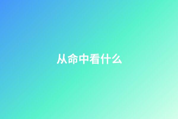 从命中看什么
