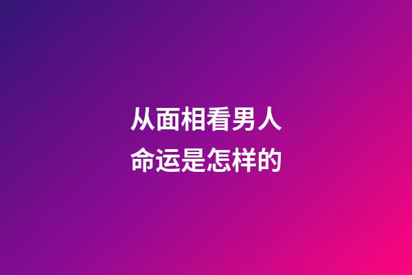 从面相看男人命运是怎样的