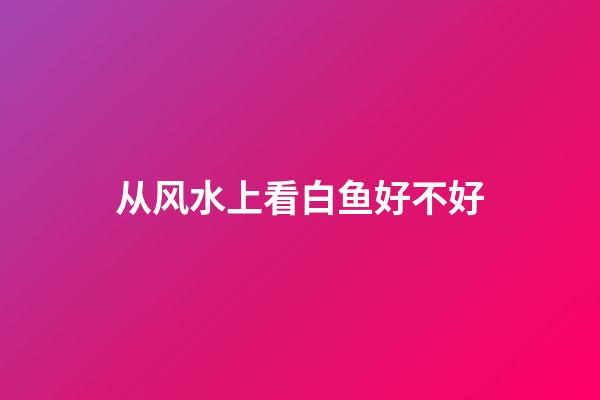 从风水上看白鱼好不好