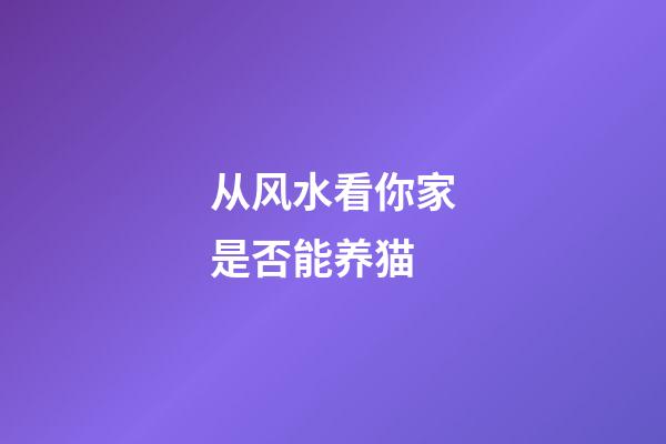 从风水看你家是否能养猫