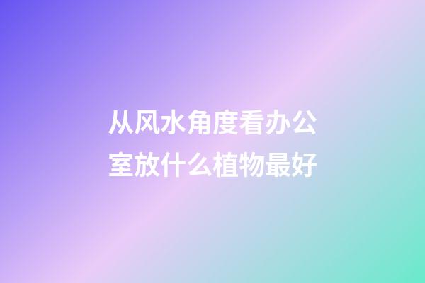 从风水角度看办公室放什么植物最好