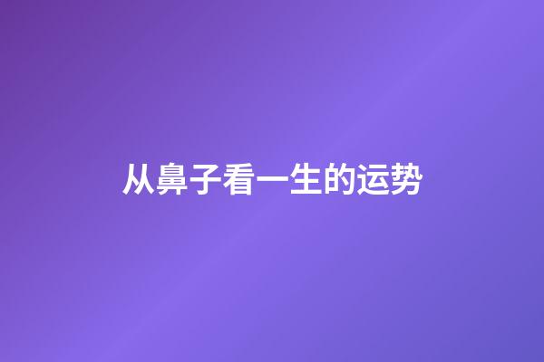 从鼻子看一生的运势