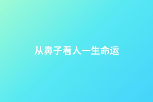 从鼻子看人一生命运(心理学：一个男人的长相暴露了他的智商情况)-第1张-观点-玄机派