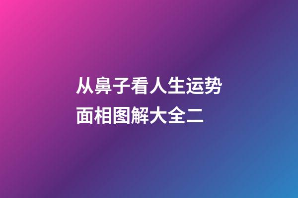 从鼻子看人生运势面相图解大全二