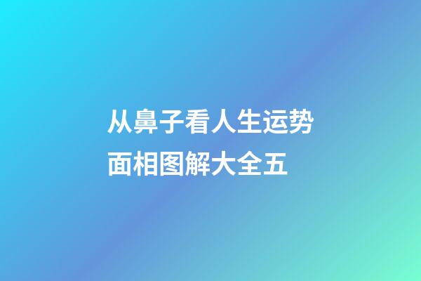 从鼻子看人生运势面相图解大全五