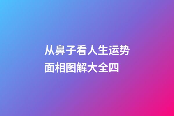 从鼻子看人生运势面相图解大全四