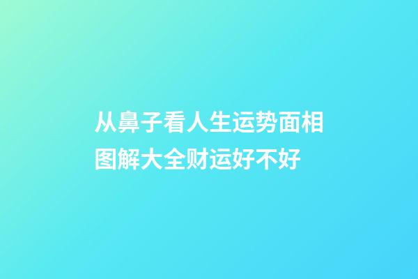从鼻子看人生运势面相图解大全财运好不好