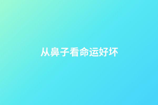 从鼻子看命运好坏