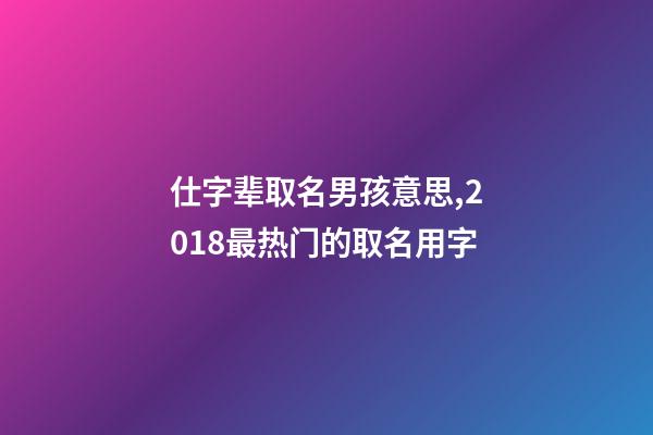 仕字辈取名男孩意思,2018最热门的取名用字-第1张-观点-玄机派