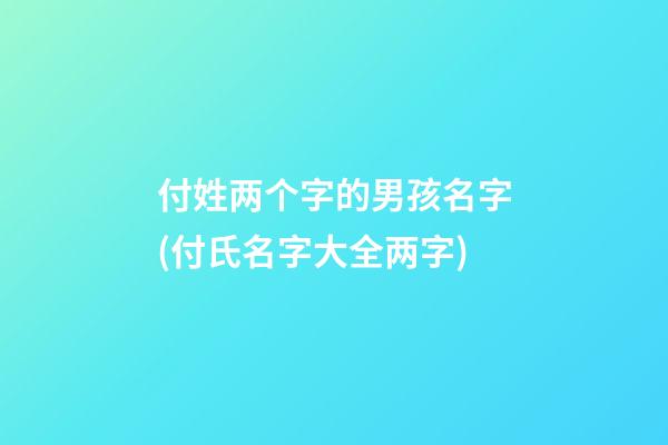 付姓两个字的男孩名字(付氏名字大全两字)