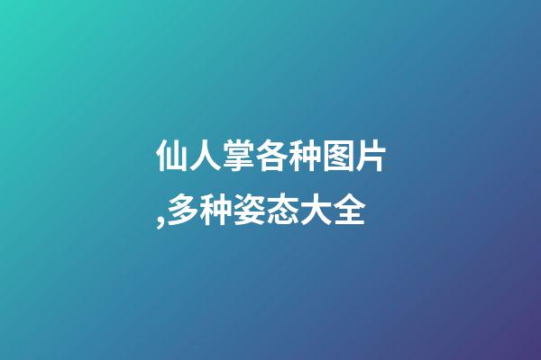 仙人掌各种图片,多种姿态大全-第1张-观点-玄机派
