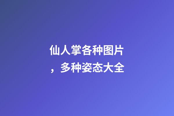 仙人掌各种图片，多种姿态大全-第1张-观点-玄机派