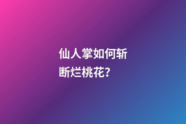 仙人掌如何斩断烂桃花？