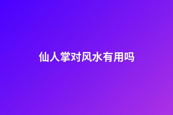 仙人掌对风水有用吗