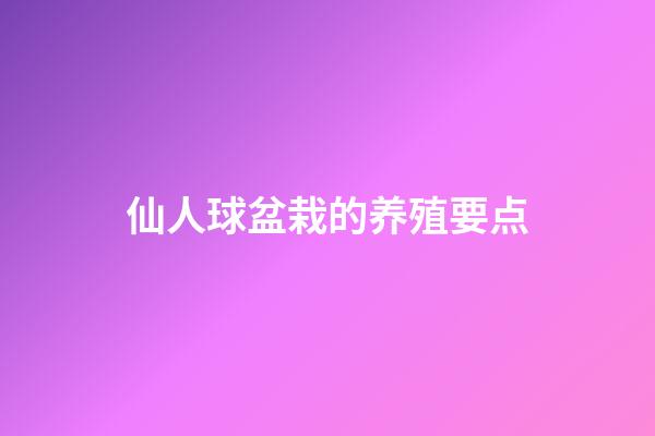 仙人球盆栽的养殖要点