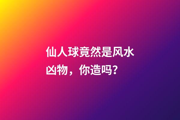仙人球竟然是风水凶物，你造吗？