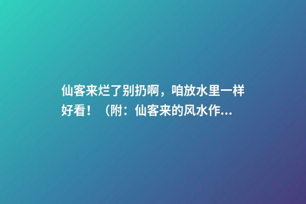 仙客来烂了别扔啊，咱放水里一样好看！（附：仙客来的风水作用）