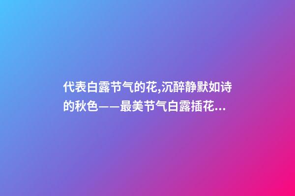 代表白露节气的花,沉醉静默如诗的秋色——最美节气白露插花集萃-第1张-观点-玄机派