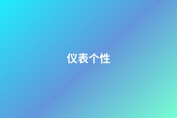 仪表个性