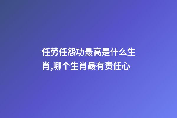 任劳任怨功最高是什么生肖,哪个生肖最有责任心-第1张-观点-玄机派