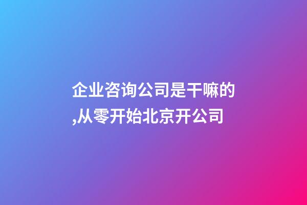 企业咨询公司是干嘛的,从零开始北京开公司-第1张-观点-玄机派