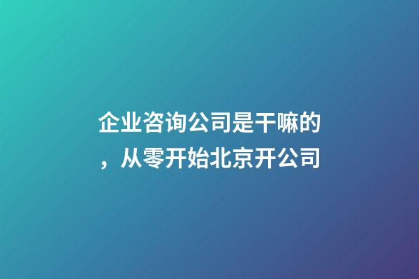 企业咨询公司是干嘛的，从零开始北京开公司-第1张-观点-玄机派