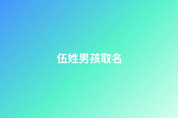 伍姓男孩取名(伍姓男孩取名比较有寓意的)-第1张-男孩起名-玄机派