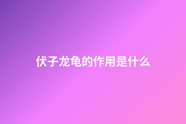 伏子龙龟的作用是什么
