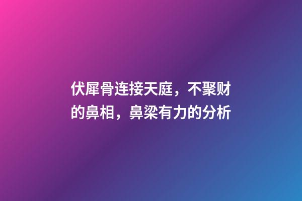 伏犀骨连接天庭，不聚财的鼻相，鼻梁有力的分析