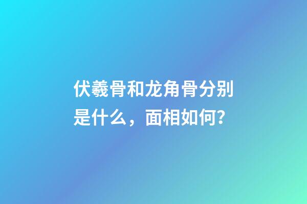 伏羲骨和龙角骨分别是什么，面相如何？