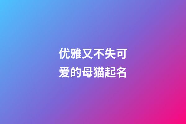 优雅又不失可爱的母猫起名