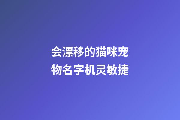 会漂移的猫咪宠物名字机灵敏捷