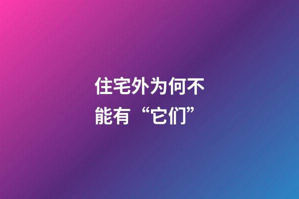 住宅外为何不能有“它们”
