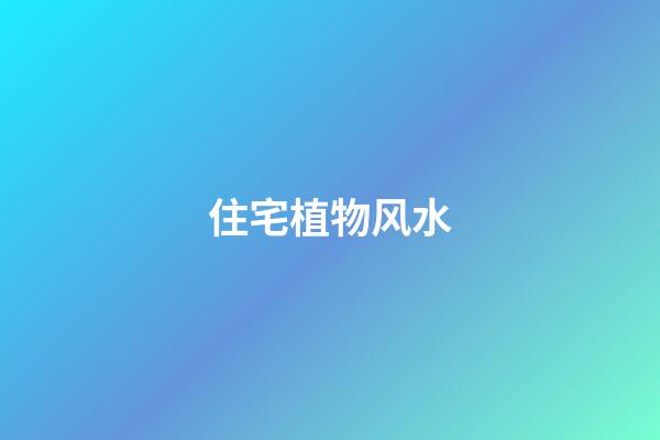住宅植物风水