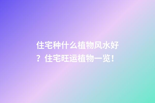 住宅种什么植物风水好？住宅旺运植物一览！