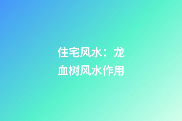 住宅风水：龙血树风水作用