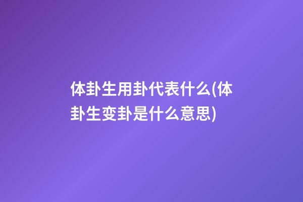体卦生用卦代表什么(体卦生变卦是什么意思)