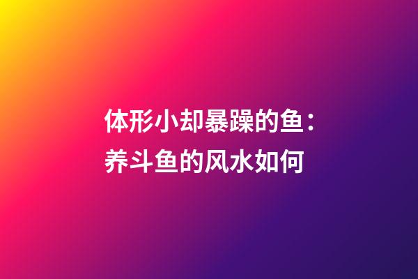 体形小却暴躁的鱼：养斗鱼的风水如何