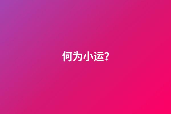 何为小运？